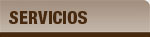 SERVICIOS